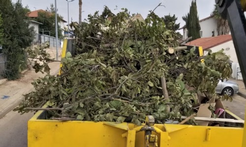 פינוי פסולת במכולות והריסות