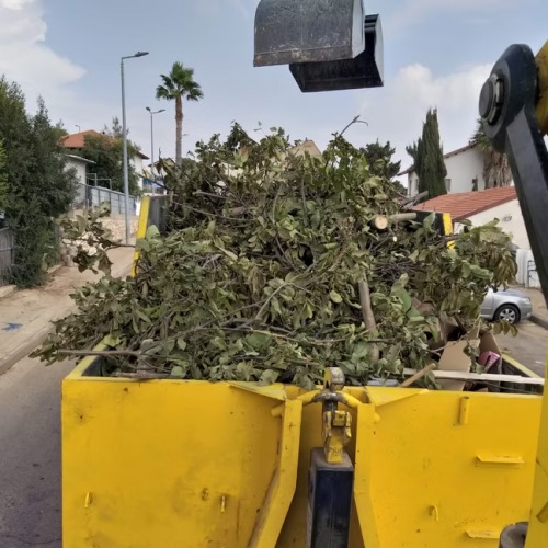 עבודת מנוף, עפר או פינוי פסולת של פלא יהב 15